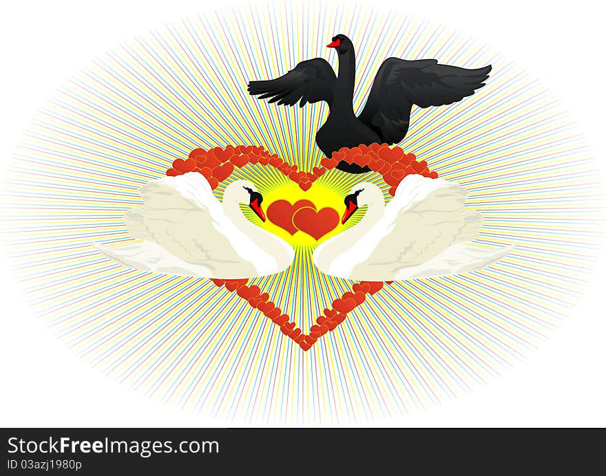 Two white swans on a background of abstract An image of the heart. Black Swan is trying to destroy the relationship in love couple. Two white swans on a background of abstract An image of the heart. Black Swan is trying to destroy the relationship in love couple