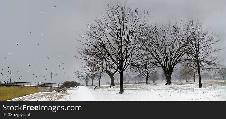 I am always so close to nature and once I got this foggy evening in windy winter day. I am always so close to nature and once I got this foggy evening in windy winter day.