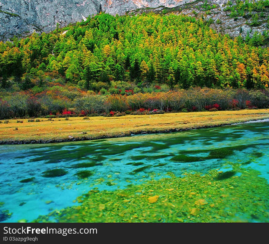 Fall color view in Tibet