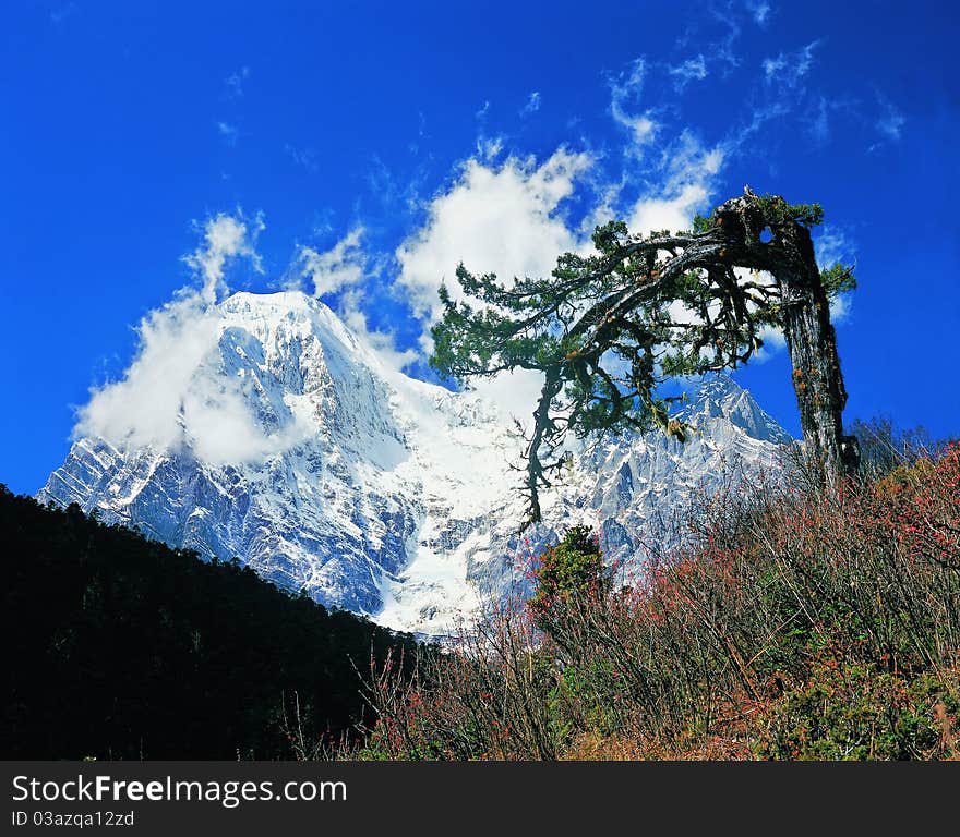 Snow mount in sunshine