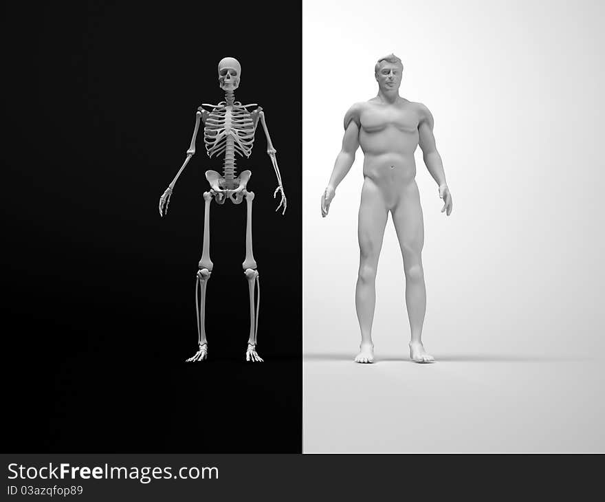 Skeleton and human body - this is a 3d render illustration. Skeleton and human body - this is a 3d render illustration