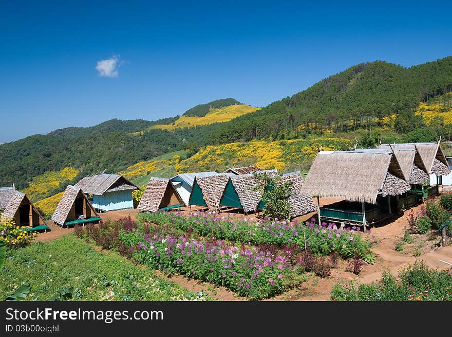 Cottages and mountain