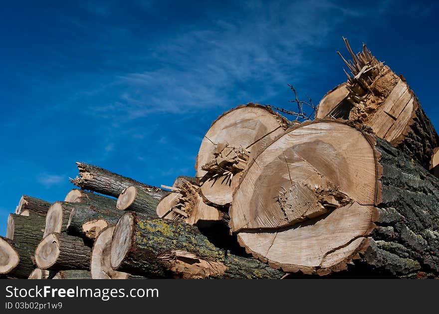 Stack of wood