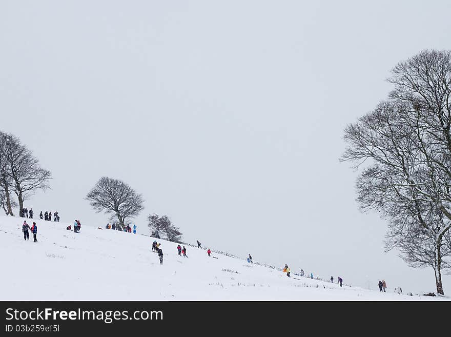 Children playing in the snow