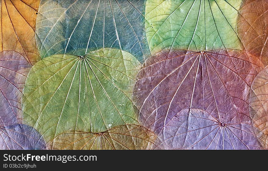 Grunge background of colorful dried leaves. Grunge background of colorful dried leaves