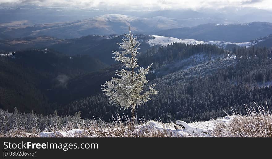 Winter landscape with a lot of snow and sunshine