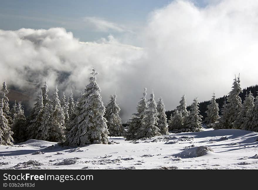 Winter landscape with a lot of snow and sunshine