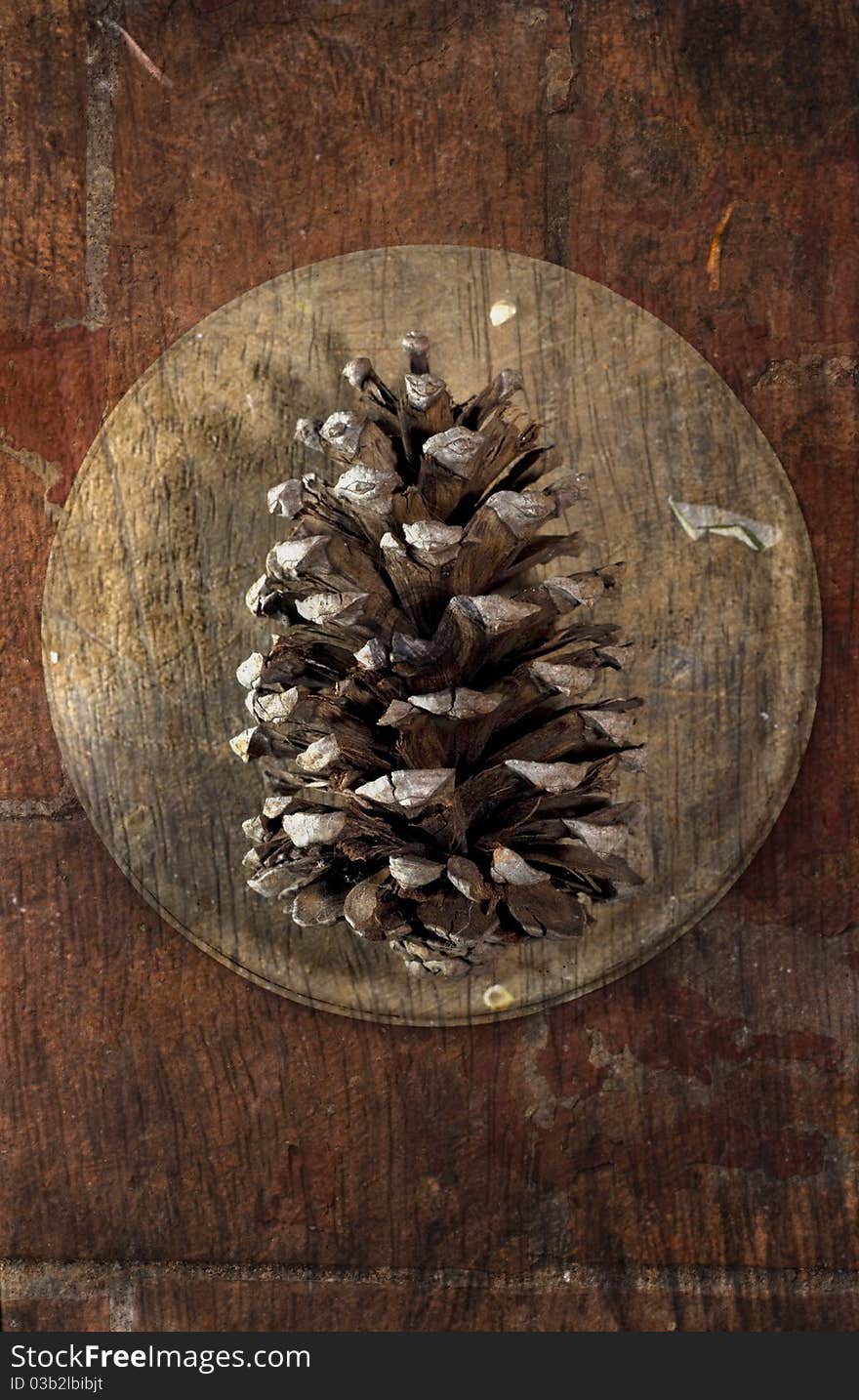 Still life with pine cone over wooden texture