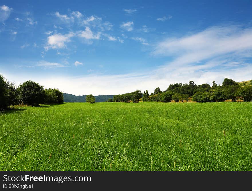 Image of blue sky and green field. Image of blue sky and green field