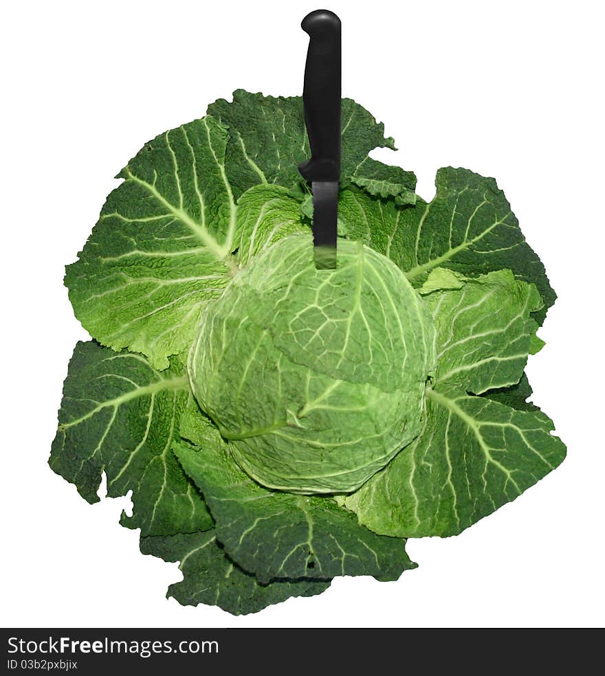 Savoy cabbage with a knife, fresh and green with reflection on a knife blade