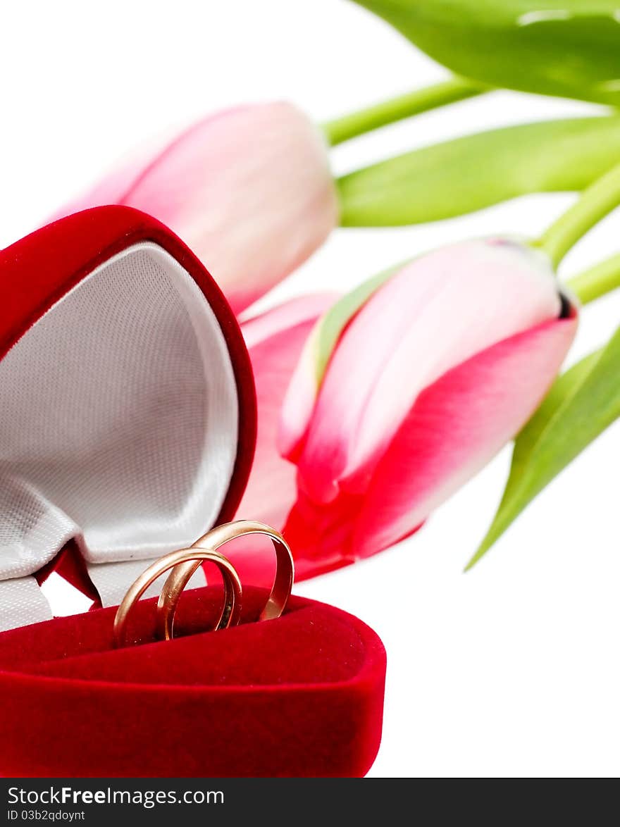 Beautiful spring tulips and wedding rings. Postcard