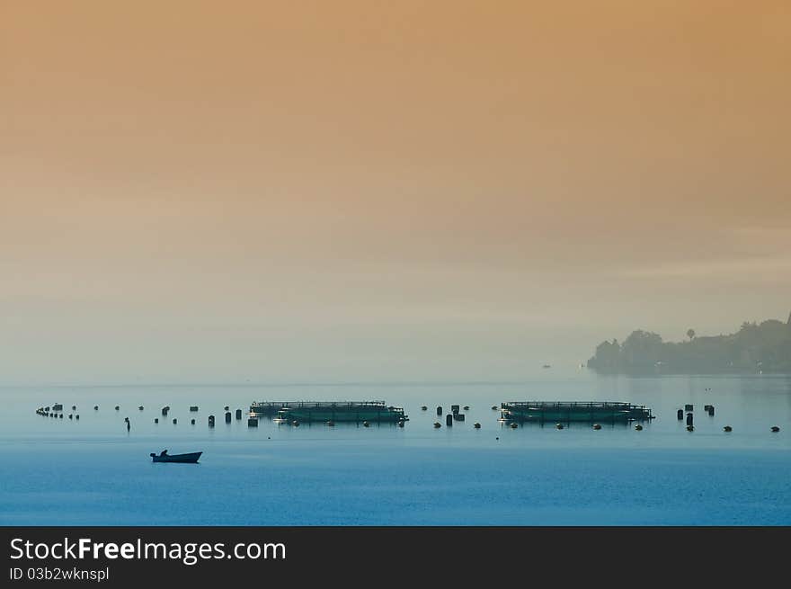 Morning on fishing farm