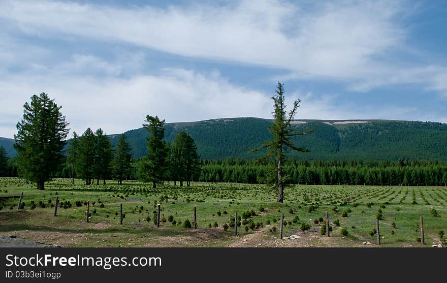 Scenery of mountains in Tibet-towards Nyingchi. Scenery of mountains in Tibet-towards Nyingchi