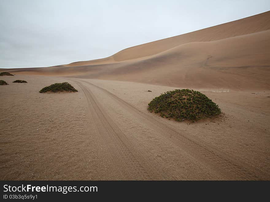 4WD tracks through the Desert Dunes in Namibia. 4WD tracks through the Desert Dunes in Namibia