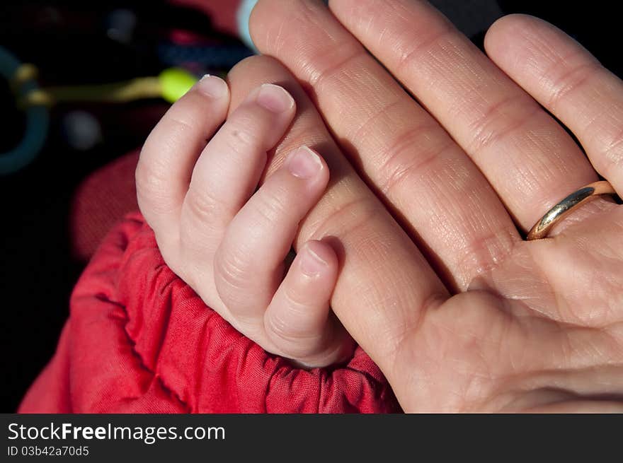 Picture of two hands of mother and son. Picture of two hands of mother and son