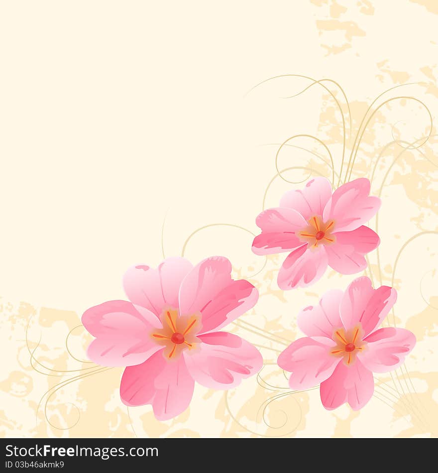 Vector pink primroses on a yellow background. Vector pink primroses on a yellow background.