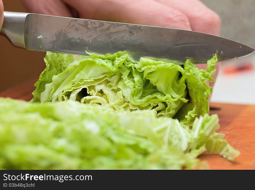 Woman hands cutting fresh green lettuce. Woman hands cutting fresh green lettuce