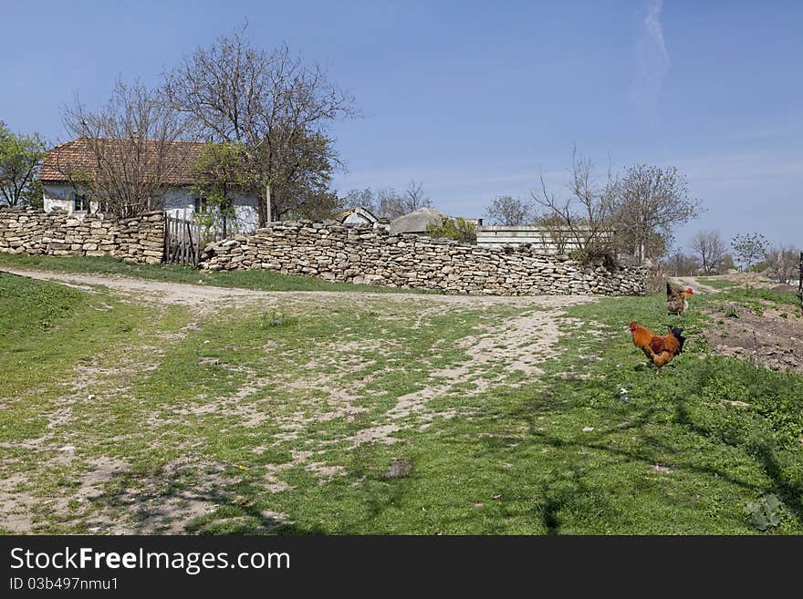 Rusric scene with two hens. Rusric scene with two hens