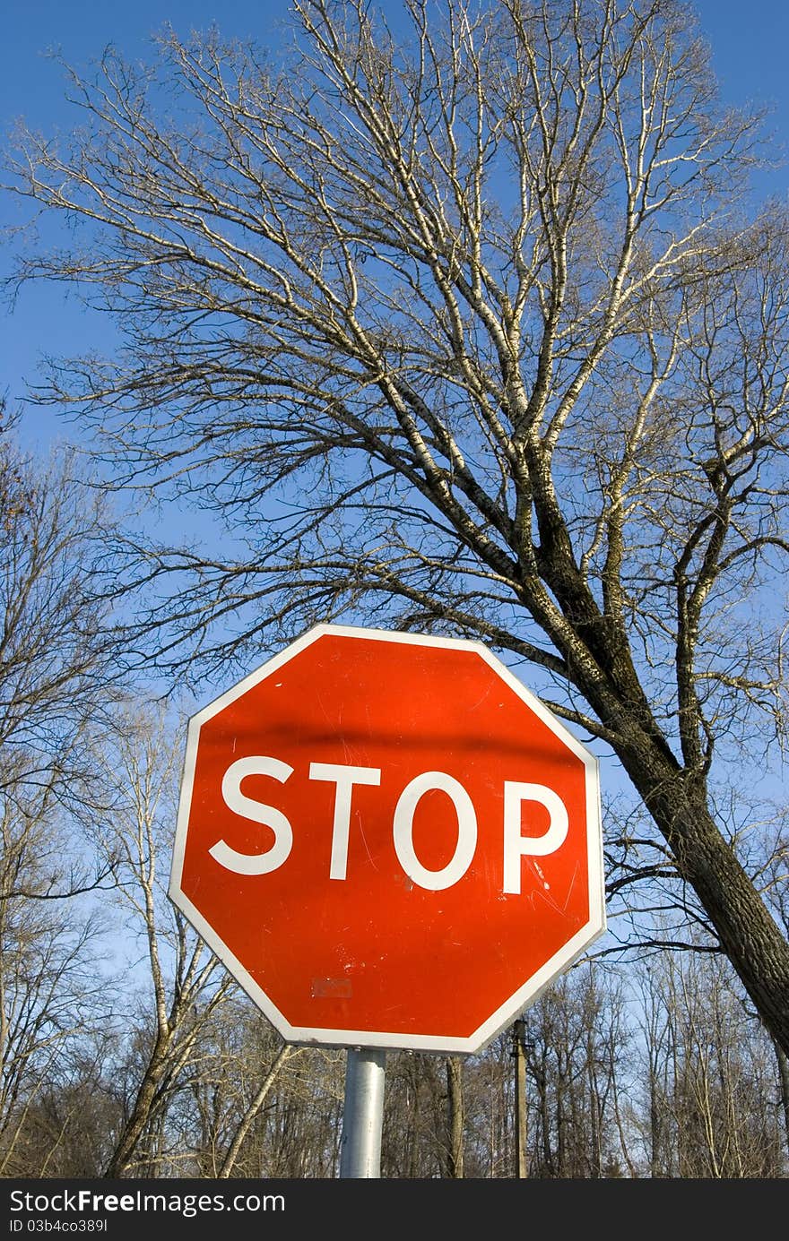 Road sign stop on the sky background and tree