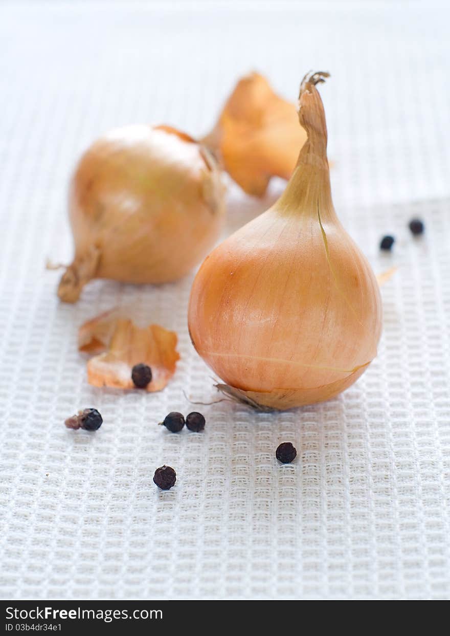 Head of onion on a light background.