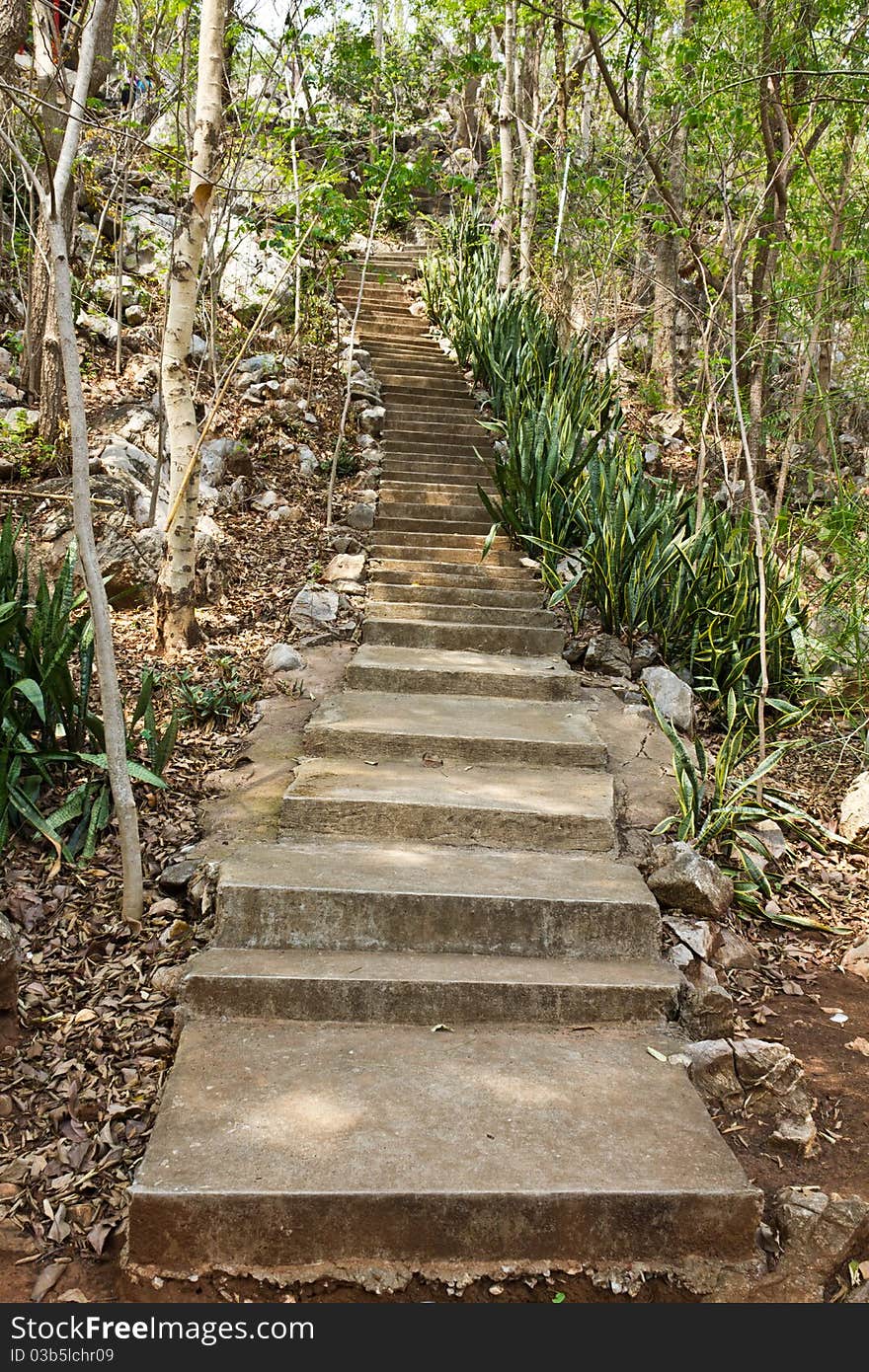 Stone stairway leads up a hill in the forest