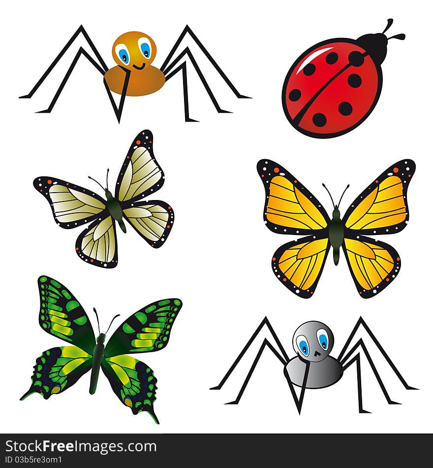 Collection of beautiful isolated insects. Collection of beautiful isolated insects