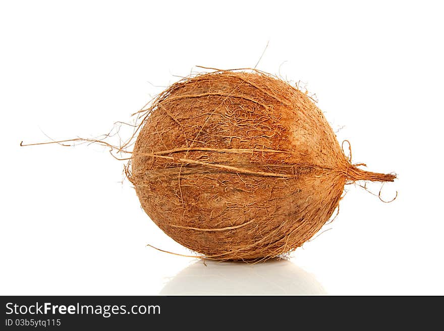 A whole coconut isolated on a white background