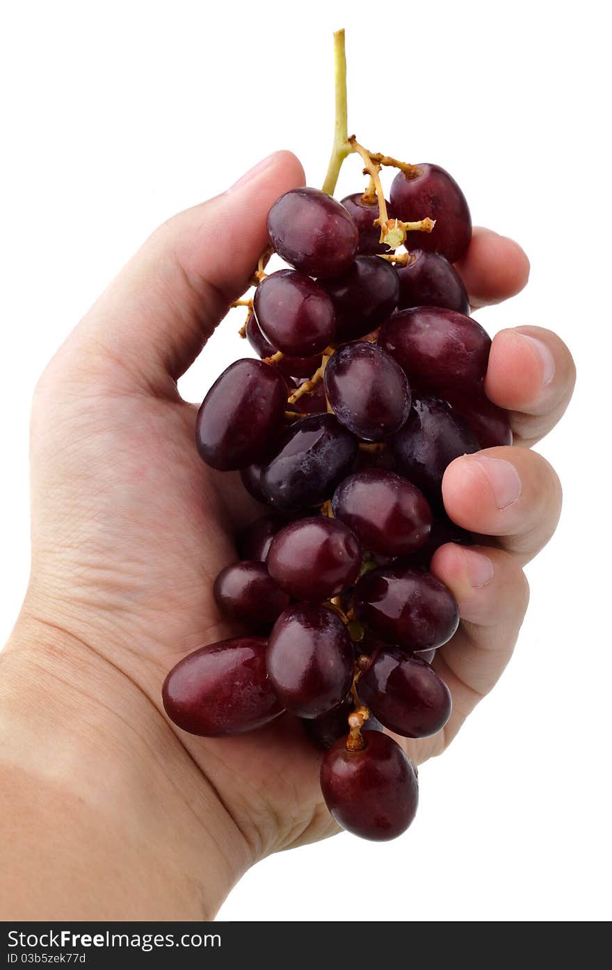 Bunch of red grapes in the hand isolated on white