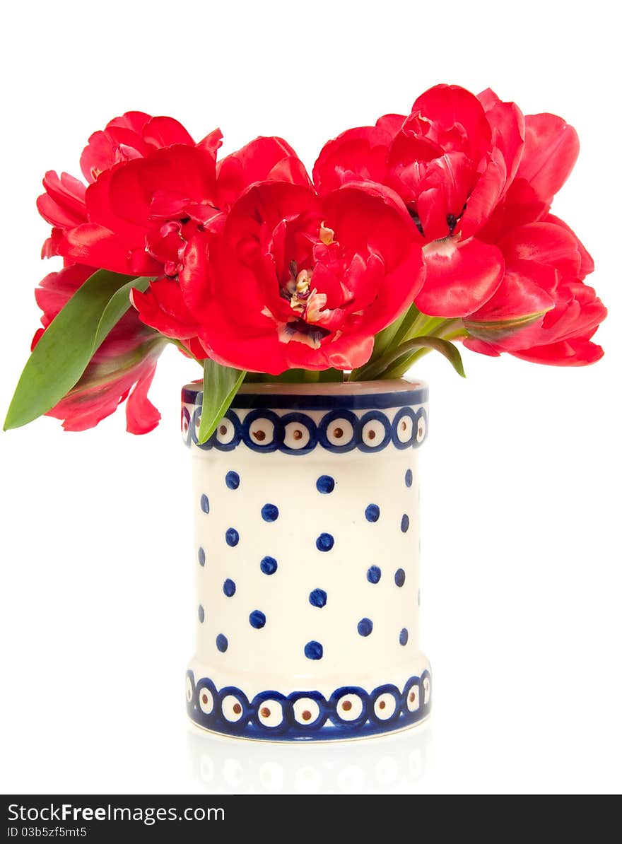 A bouquet of red double tulips in a white blue dotted vase isolated over white. A bouquet of red double tulips in a white blue dotted vase isolated over white