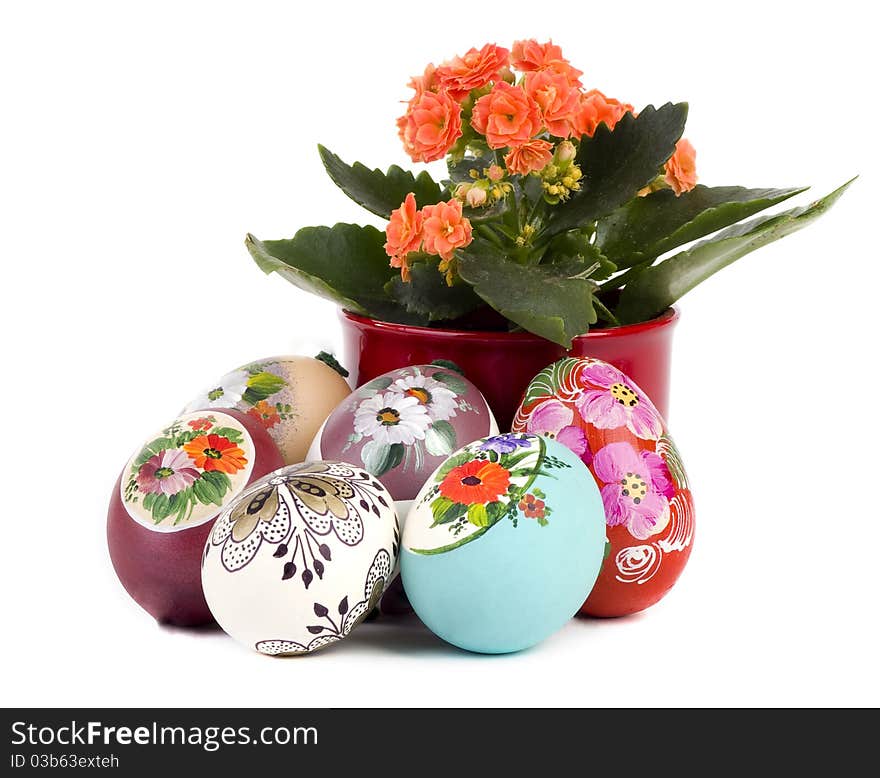 Easter eggs and flower with white background