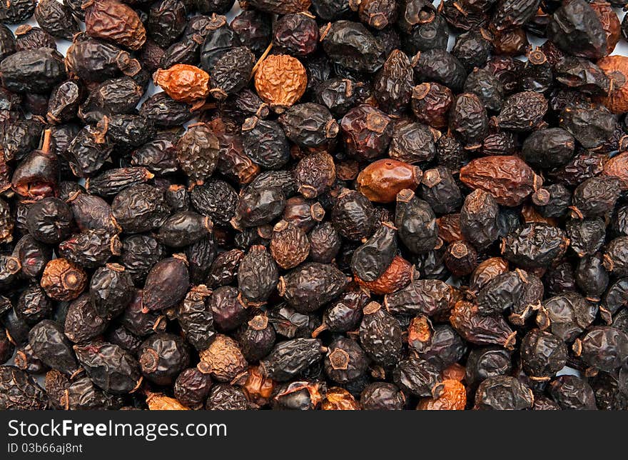 Background of ripe berries rose hips