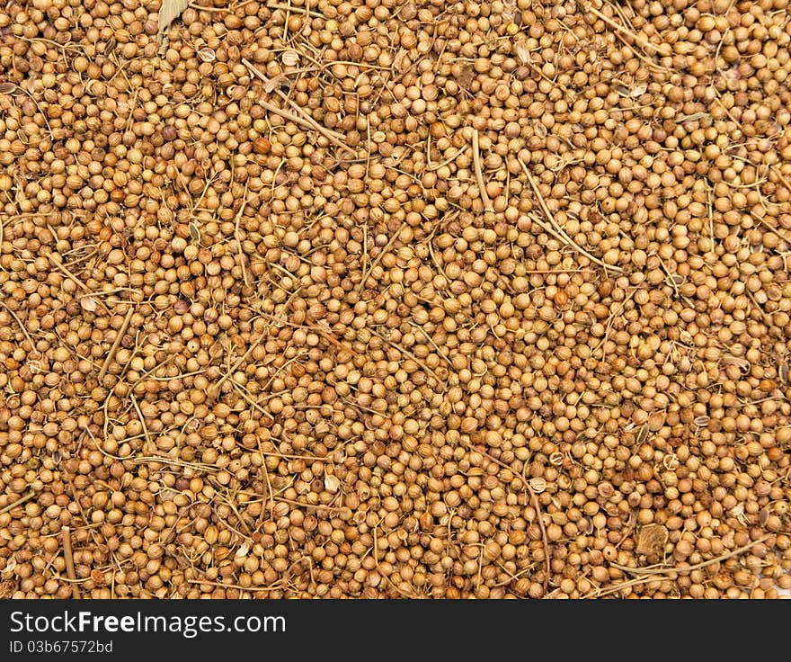 Textured background of brown spices