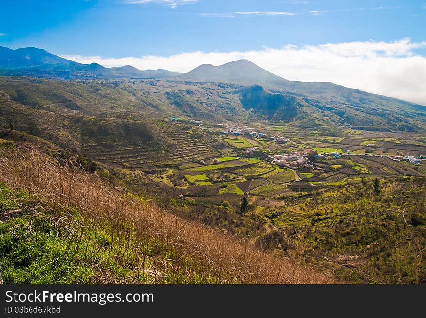 Tenerife fields