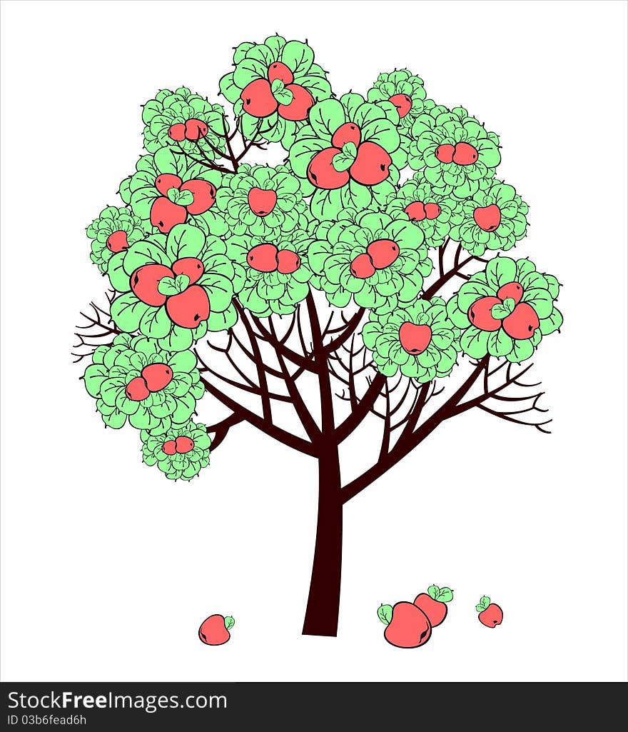 Vector stylized drawing of apple tree with ripe fruits