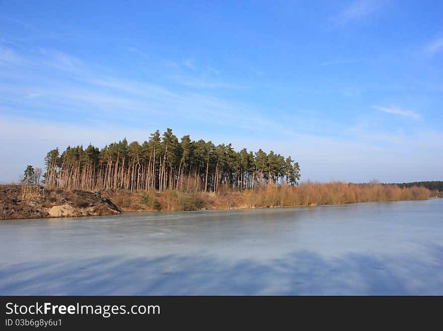 Big trees near to a river on a sunny day. Big trees near to a river on a sunny day