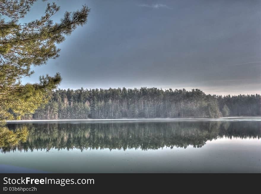 Nice trees near to a river in spring. Nice trees near to a river in spring