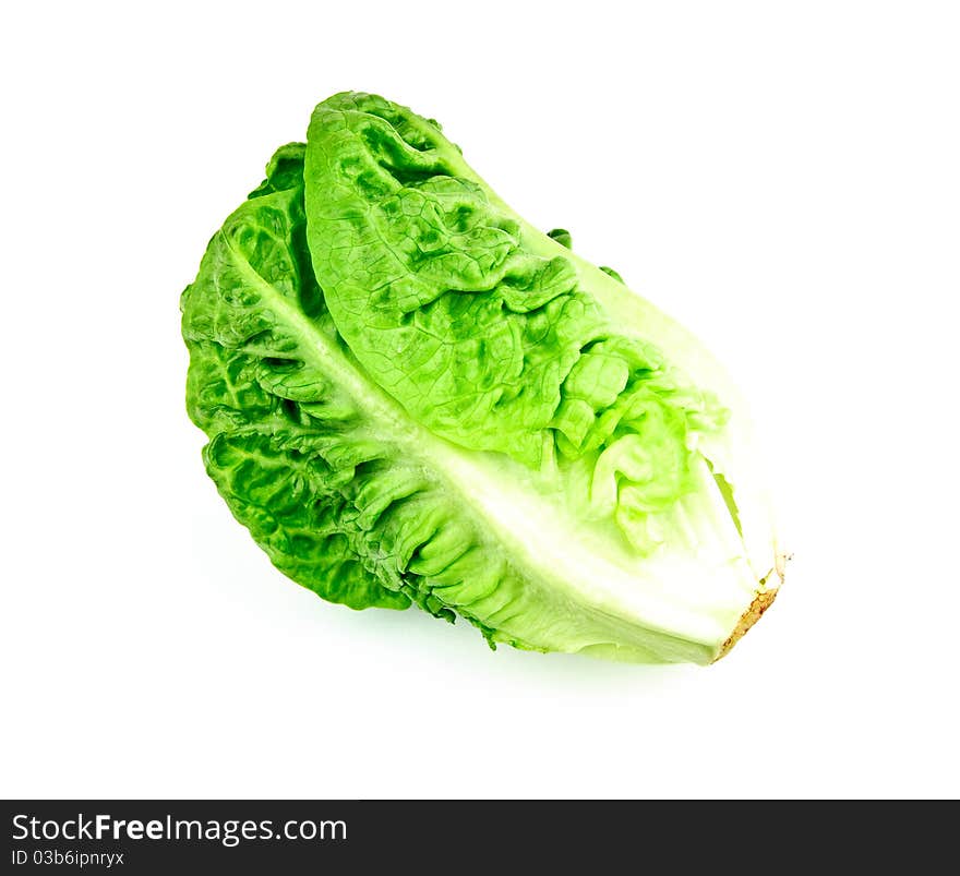 Lettuce