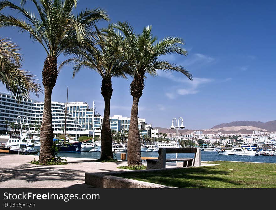 This shot was taken at the northern beach of Eilat, Israel. This shot was taken at the northern beach of Eilat, Israel