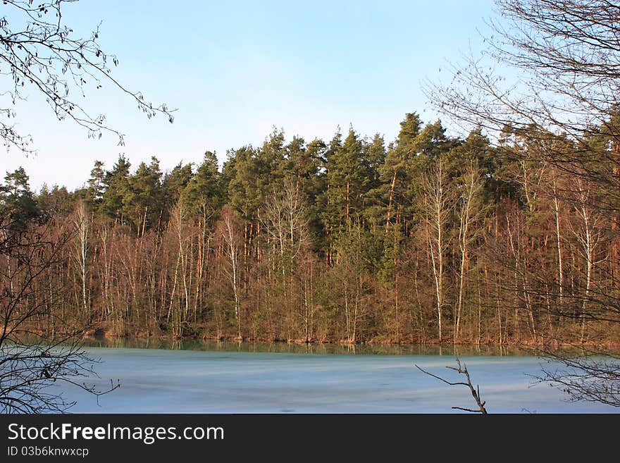 Nice trees near to a river in spring. Nice trees near to a river in spring