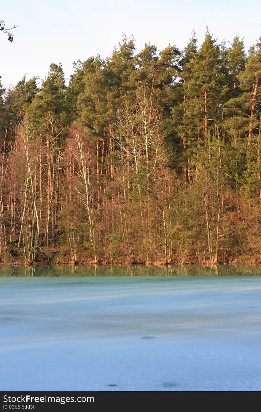 Nice trees near to a river in spring. Nice trees near to a river in spring