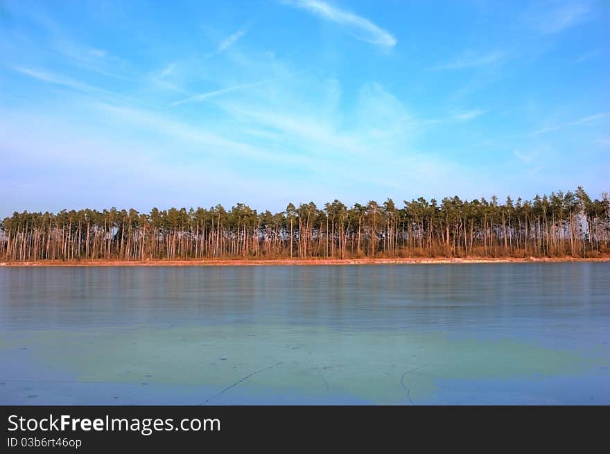 Nice trees near to a river in spring. Nice trees near to a river in spring