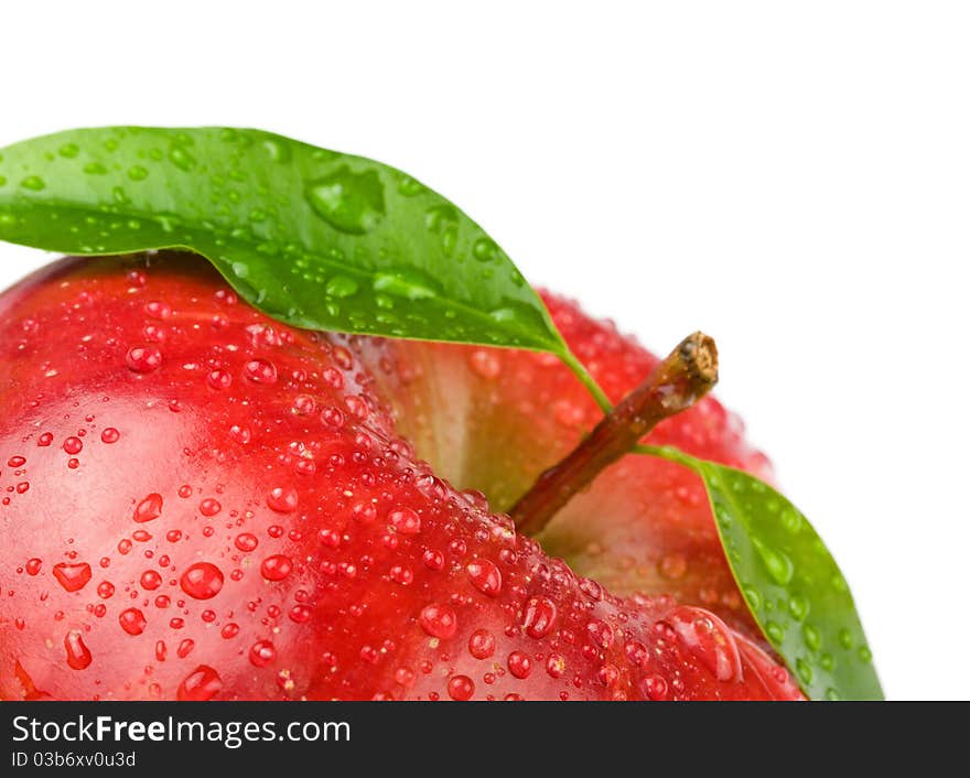 Ripe red apple on a white background