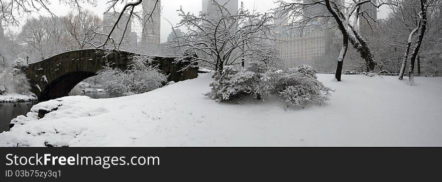 Central Park in snow storm