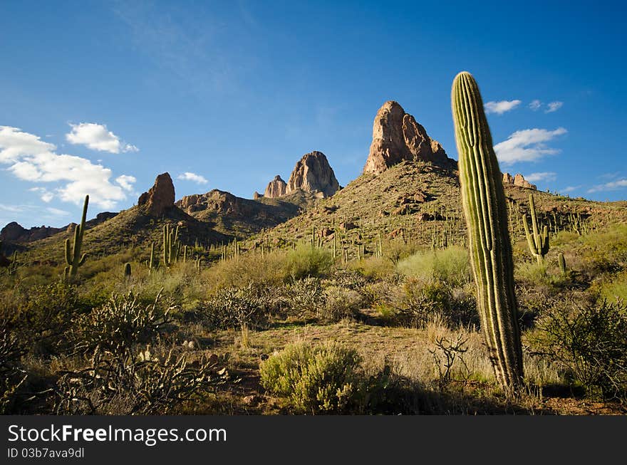 Along the Apache Trail, Arizona