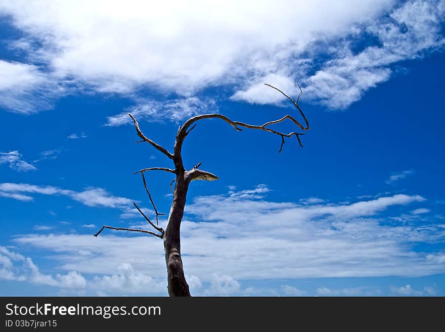 Sky Of Blue Lagoon