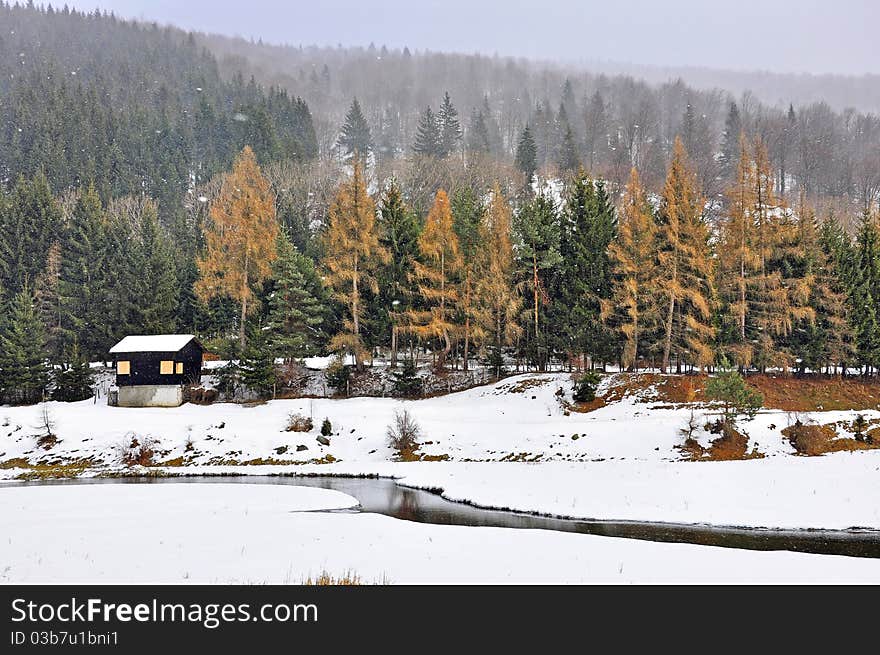 Mountain Forest Snow