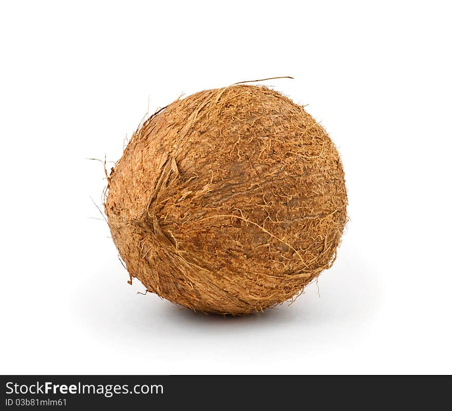 Coconut against a white background