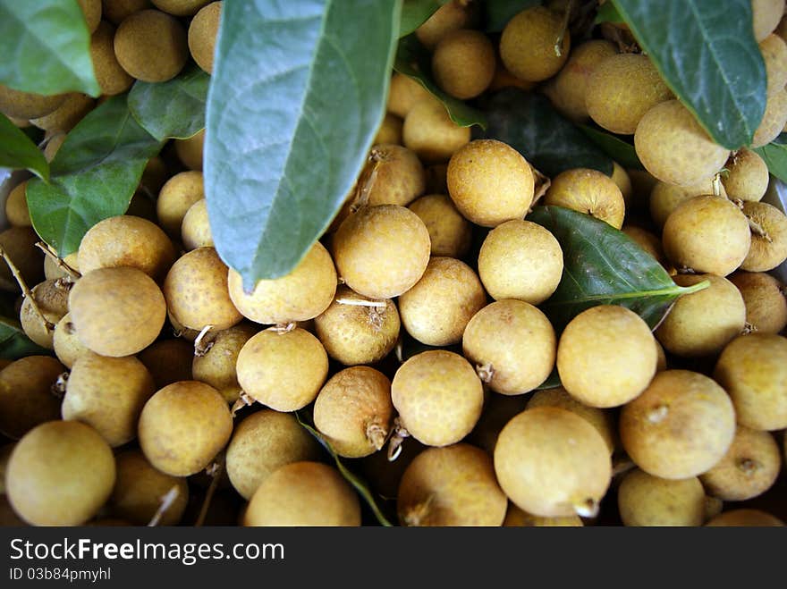 Longan, in fruit store sale. This is one of the delicious fruit.