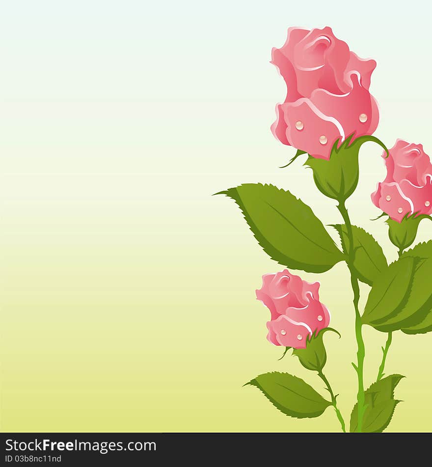 Beautiful background with pink roses. Beautiful background with pink roses