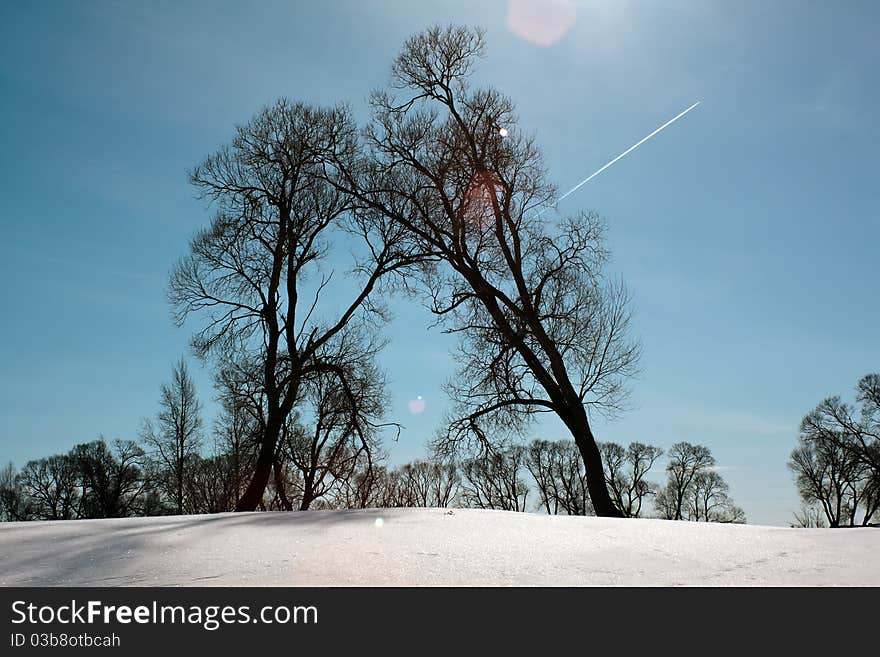 Winter landscape